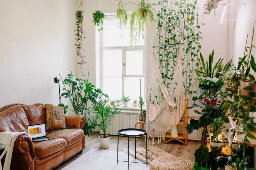 Elementos da natureza: Plantas e flores para trazer vida ao ambiente - inspiração 2