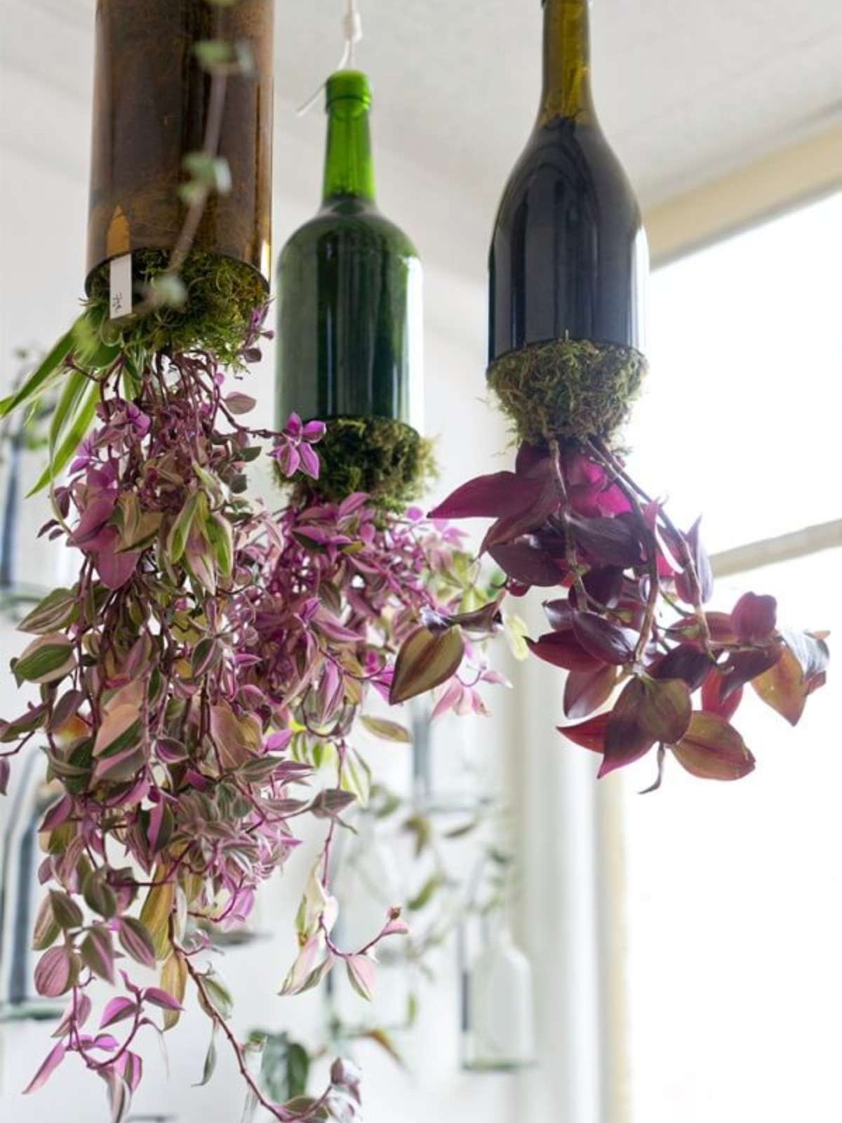 Ferramentas Essenciais: O Que Você Vai Precisar para Começar - inspiração 2