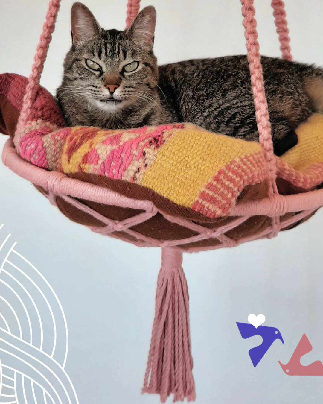 Corte Prematuro dos Fios: O Erro Irreparável - inspiração 1