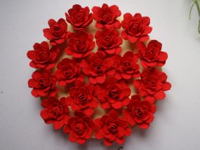 Preparando a Caixa de Ovo: Limpeza e Corte - inspiração 1