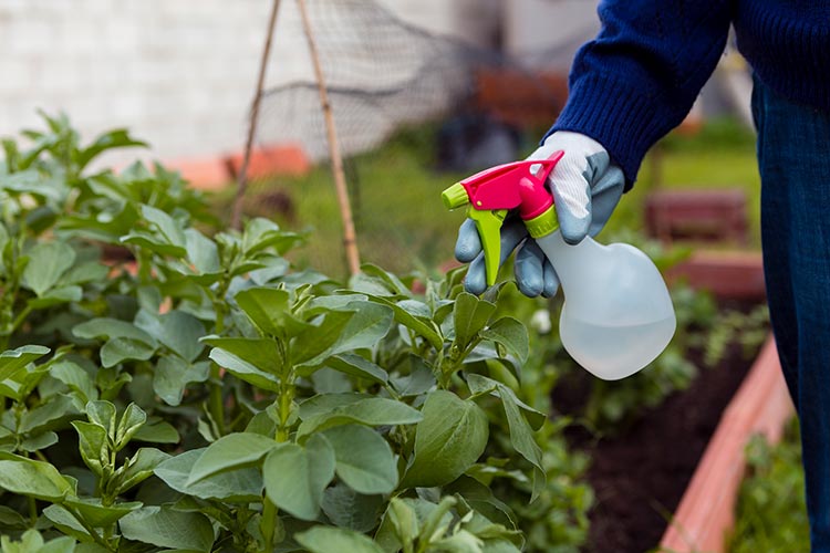 Observação Constante: Seu Primeiro Aliado - inspiração 2
