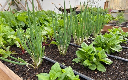 Água na Medida Certa: Nem Demais, Nem de Menos - inspiração 2