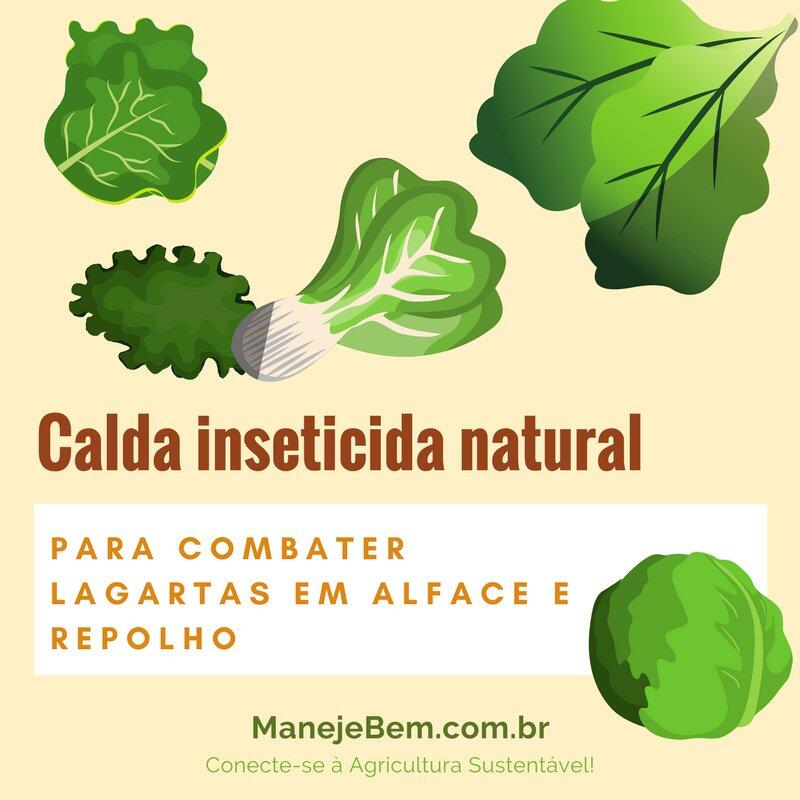 Nem Sempre é Praga: Identificando o Problema Certo - inspiração 1