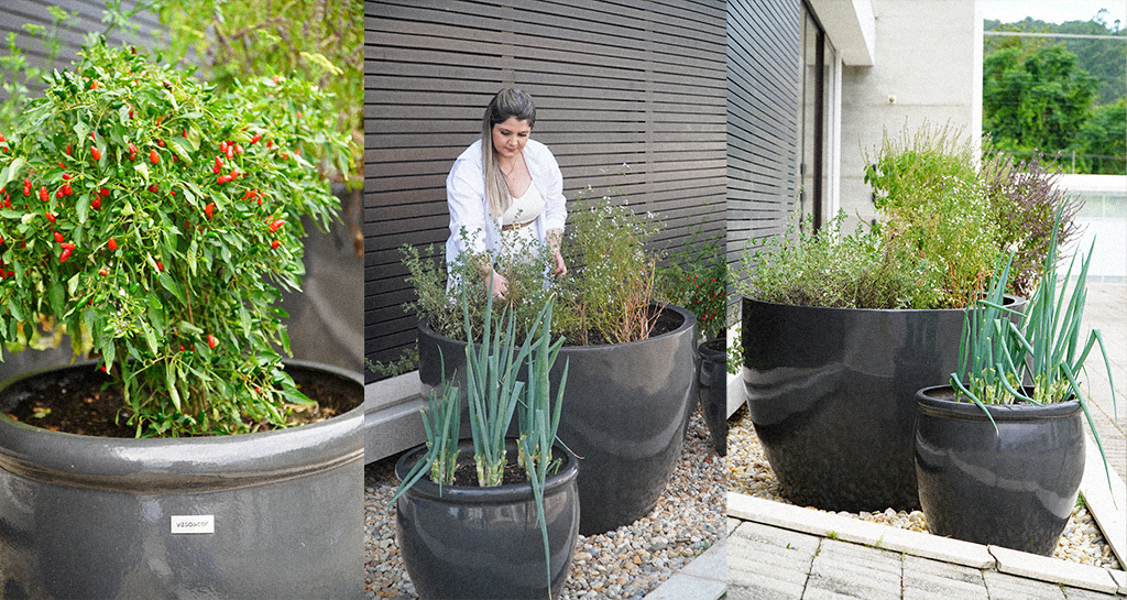 Ervas Aromáticas: Aromas e Sabores que Transformam sua Cozinha - inspiração 1