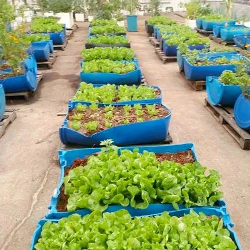 O Poder do Alho e da Cebola: Fundamentais na Culinária - inspiração 2