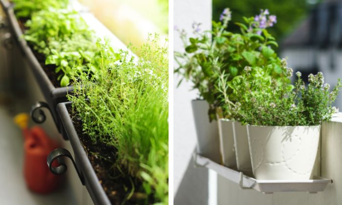 Escolhendo os Vasos Certos: Leveza e Estilo para Seu Espaço - inspiração 2