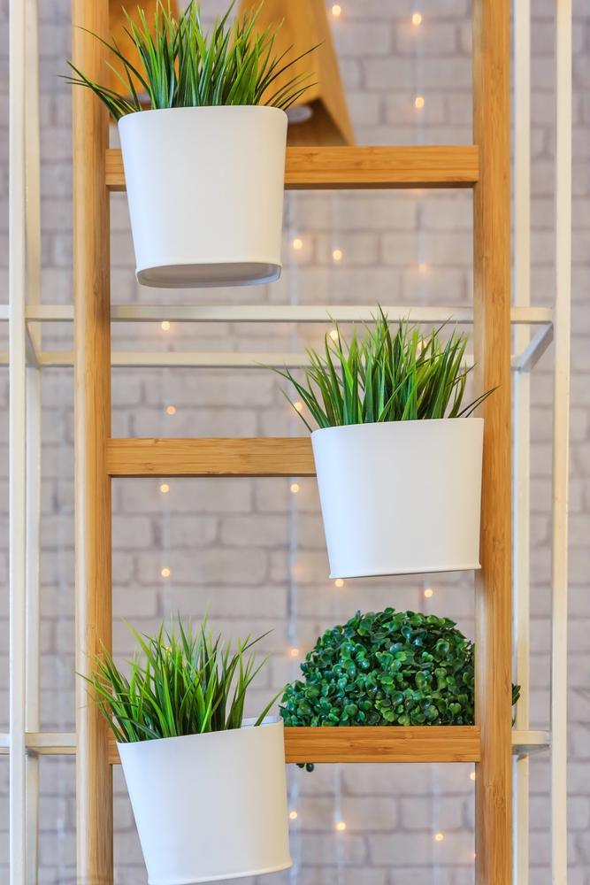 A Terra Perfeita: Nutrição Ideal para o Desenvolvimento das Suas Plantas - inspiração 2