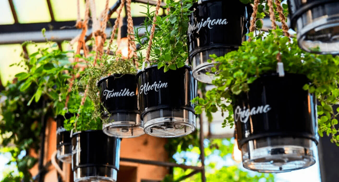 Ervas Aromáticas: Temperos Frescos ao Alcance das Mãos - inspiração 1