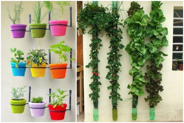 Solo Vivo: Os Segredos de um Substrato Rico e Saudável - inspiração 2