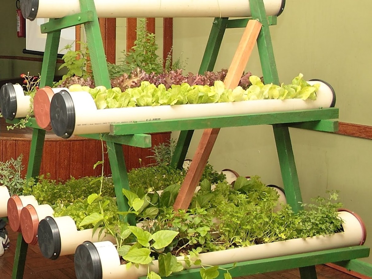 Controle de Pragas sem Veneno: Soluções Caseiras Eficazes - inspiração 2