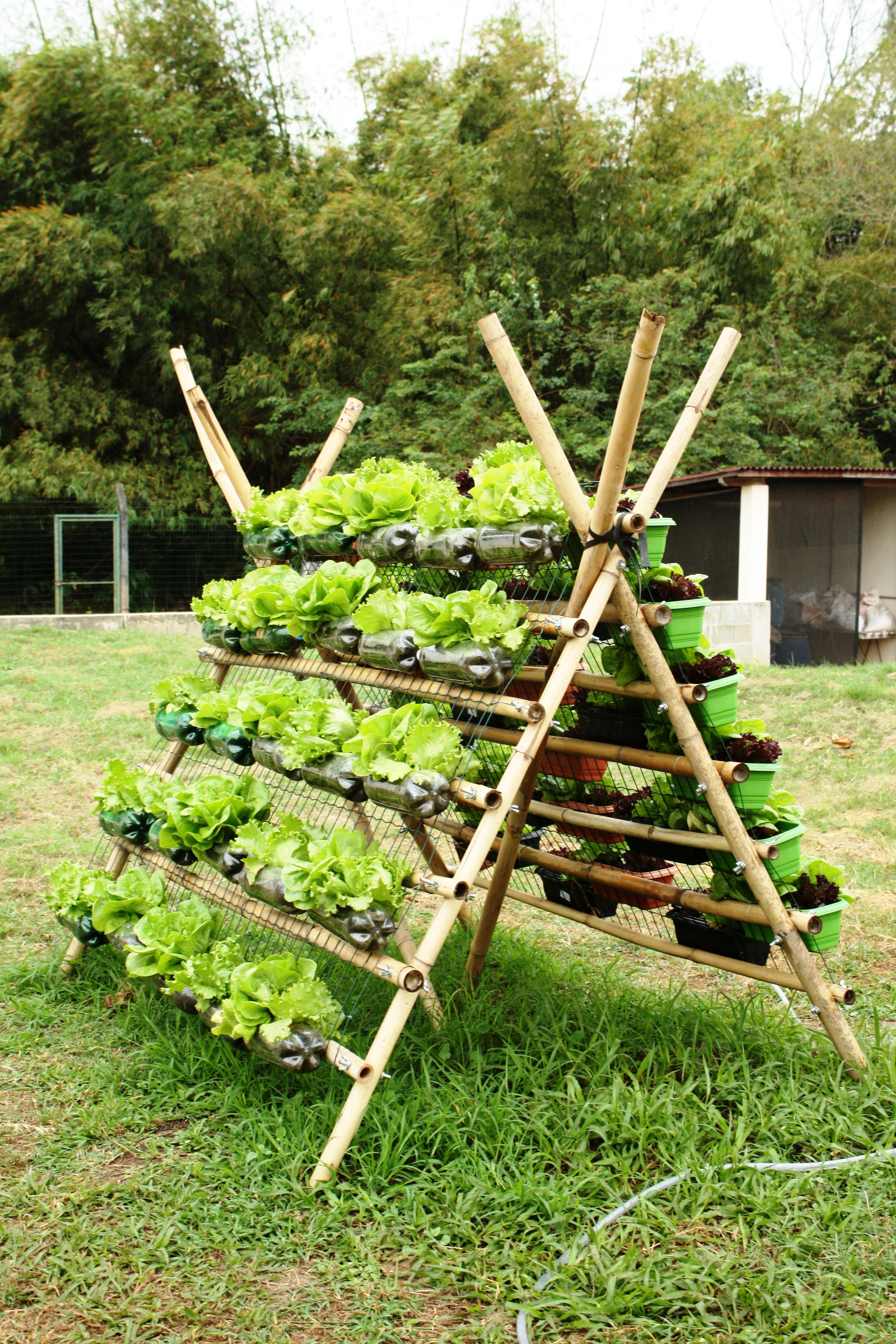 Escolhendo o bambu ideal: O material certo faz toda a diferença. - inspiração 2