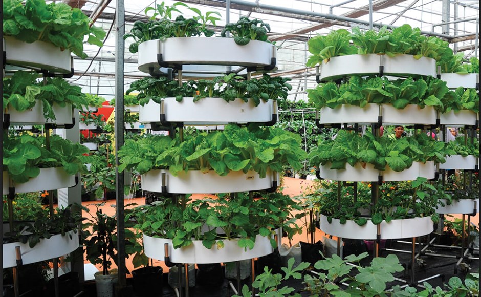 Sustentabilidade em cada detalhe: Indo além do bambu. - inspiração 2