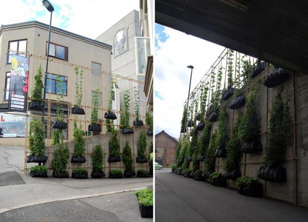 Sistema de irrigação: Alternativas para manter suas plantinhas hidratadas. - inspiração 1