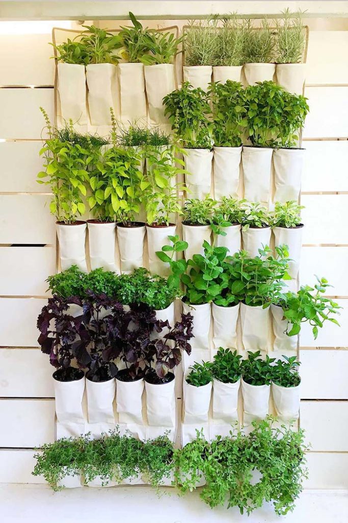 Sistema de irrigação: Alternativas para manter suas plantinhas hidratadas. - inspiração 2
