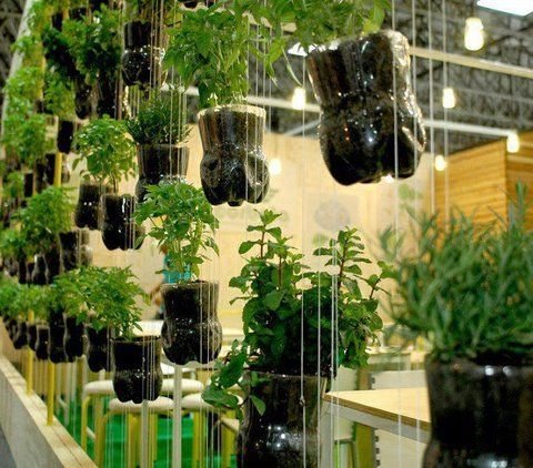 Posicionamento estratégico: Onde o sol beija suas ervas e temperos. - inspiração 1