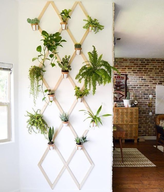 Preparando os Recipientes: Vasos e Suportes Adequados - inspiração 1