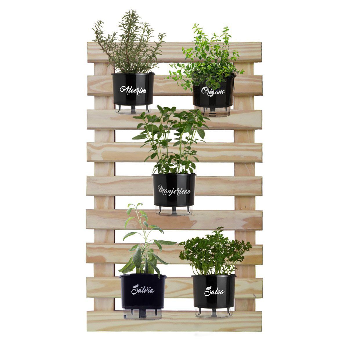 O Substrato Essencial: Terra que Nutre e Acolhe as Plantas - inspiração 1