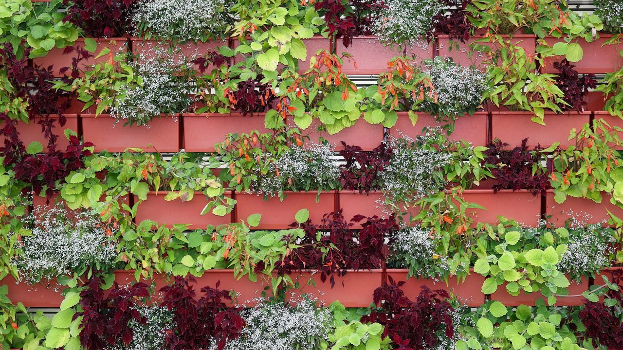 Plantando com Cuidado: Técnicas para um Bom Desenvolvimento - inspiração 1