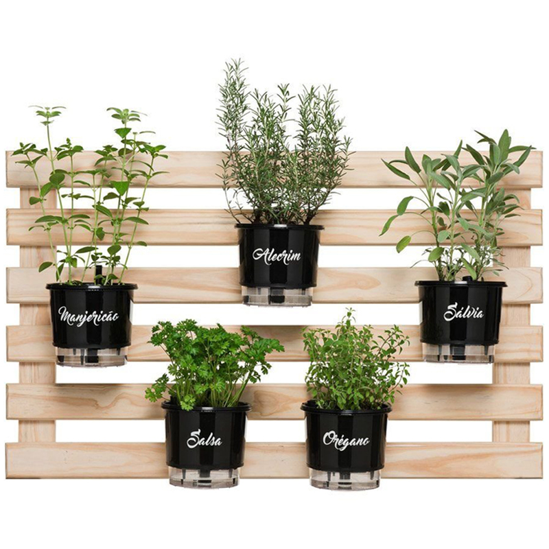 Irrigação Inteligente: Água na Medida Certa para Cada Planta - inspiração 1