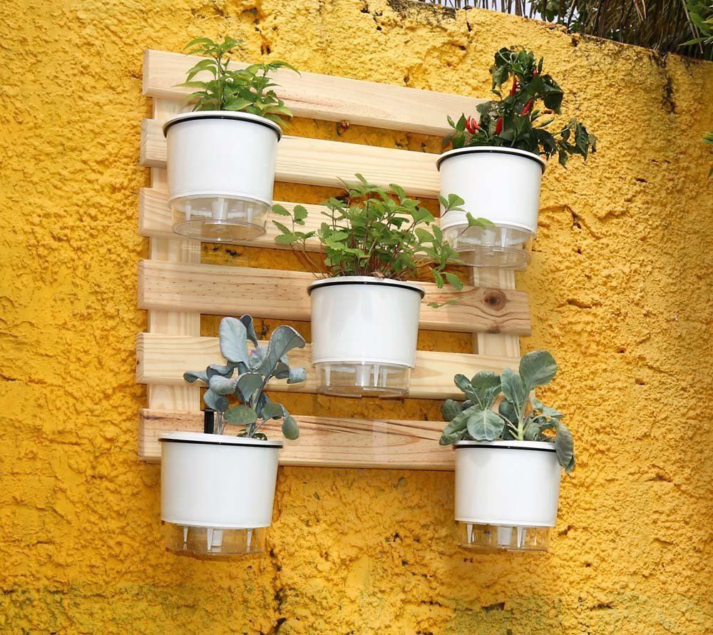 Adubação e Nutrição: Mantenha Suas Plantas Saudáveis - inspiração 2