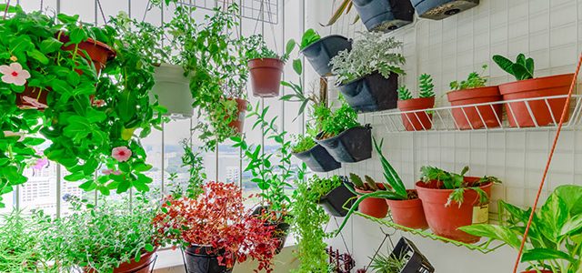 Irrigação Inteligente: Água na Medida Certa para Plantas Felizes - inspiração 2