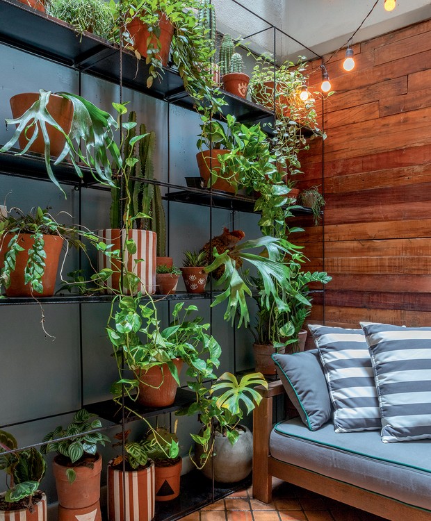 A Simplicidade das Ervas Aromáticas: Sabor e aroma em um cantinho especial. - inspiração 1