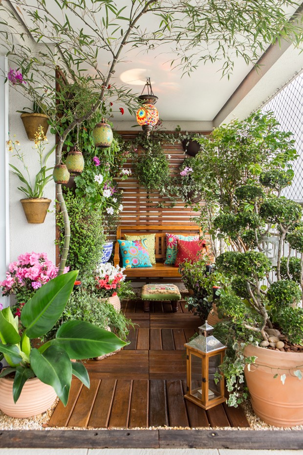 Plantas Suspensas: Elegância e vida em altura. - inspiração 1