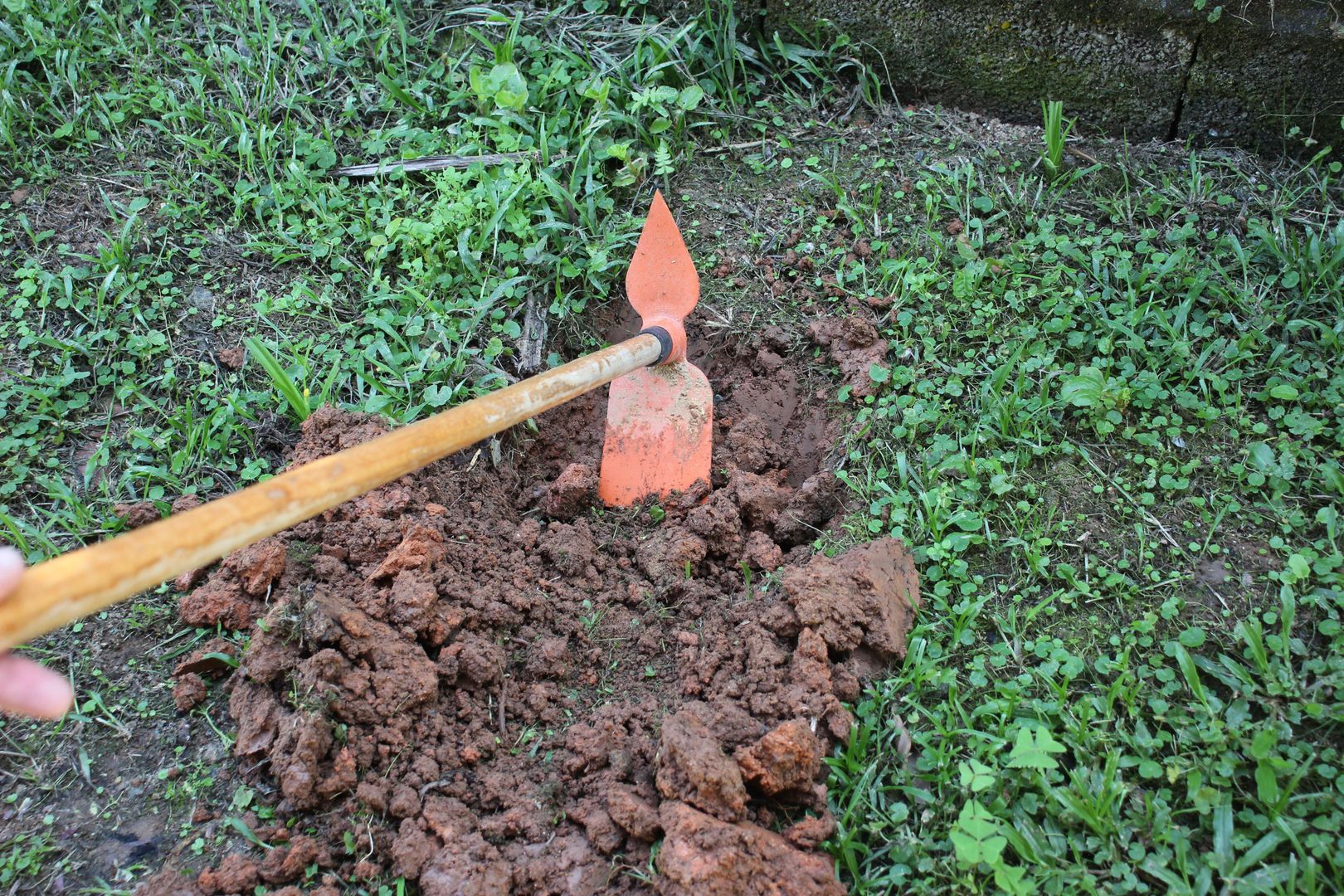 Entendendo Seu Solo Atual: O Que Ele Precisa? - inspiração 2