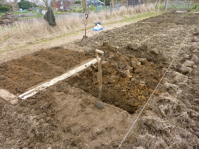 Fertilização Equilibrada: Nutrição Sob Medida - inspiração 2