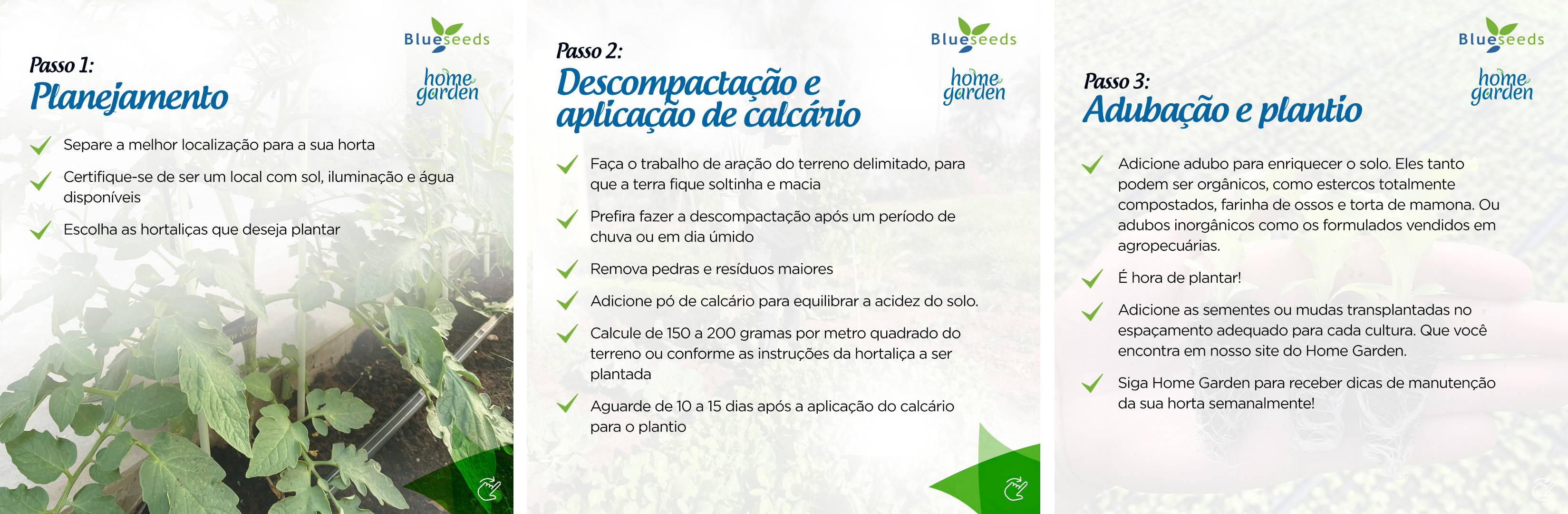 Aeração do Solo: Dando Espaço para Respirar - inspiração 1