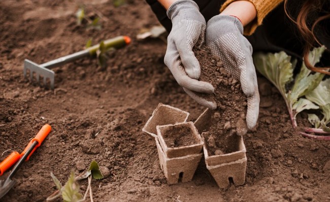 Aeração do Solo: Dando Espaço para Respirar - inspiração 2