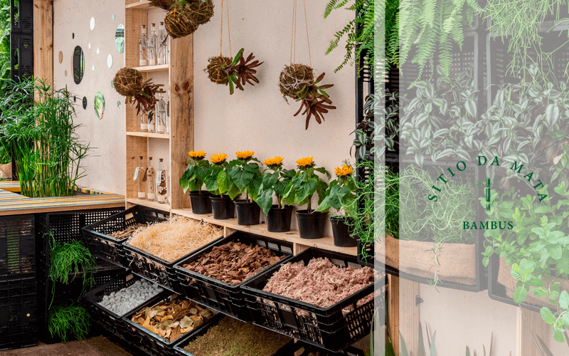 O Vaso Ideal: Tamanho e Drenagem para Ervas Felizes - inspiração 1