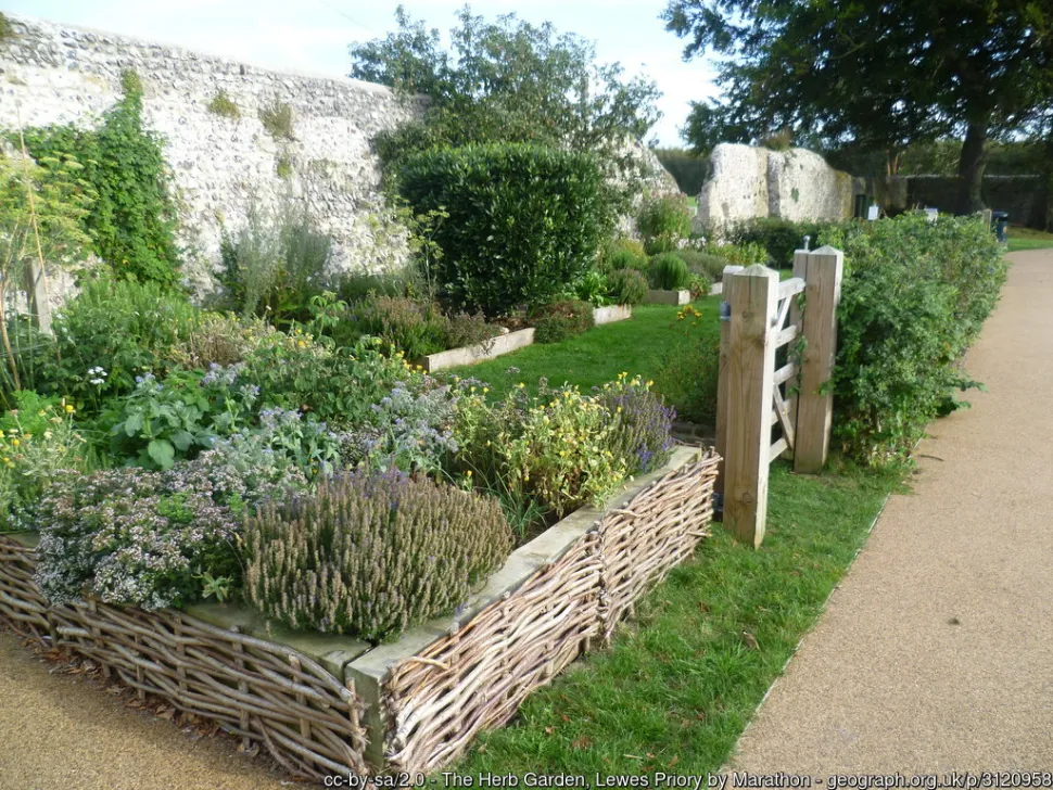 As Ervas Mais Amigas do Relaxamento: Manjericão, Hortelã e Camomila - inspiração 1