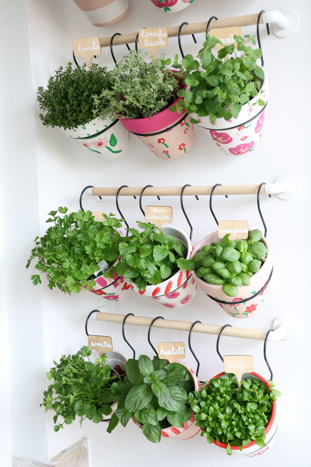 As Ervas Mais Amigas do Relaxamento: Manjericão, Hortelã e Camomila - inspiração 2