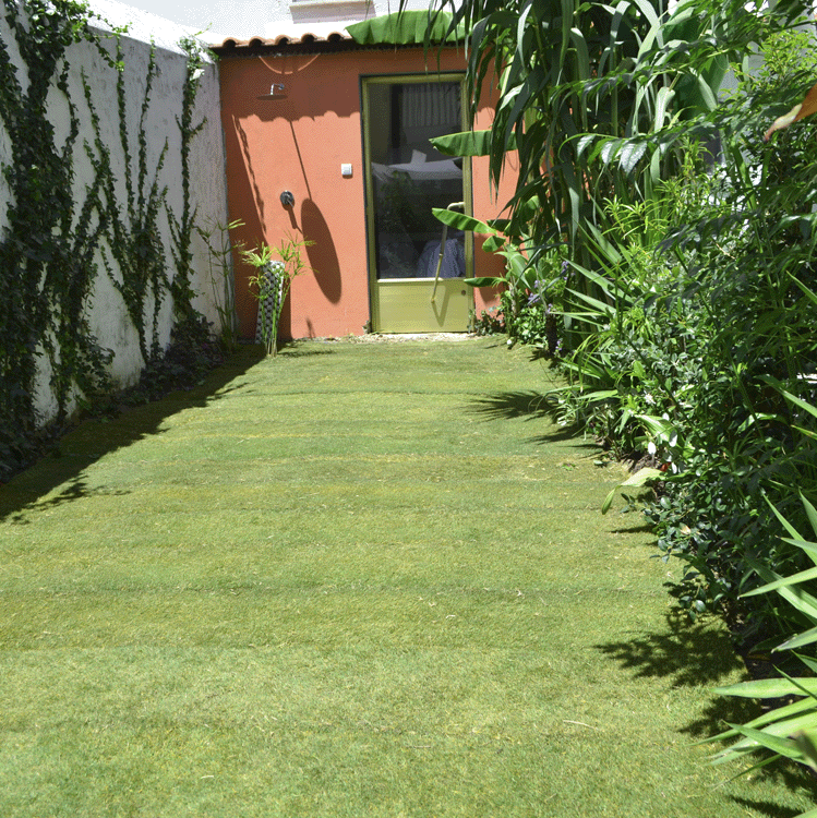 Um Toque de Lavanda: Aroma que Acalma a Alma - inspiração 2