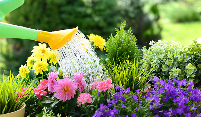 Colhendo os Frutos (e Aromas!): O Momento Certo de Aproveitar - inspiração 1