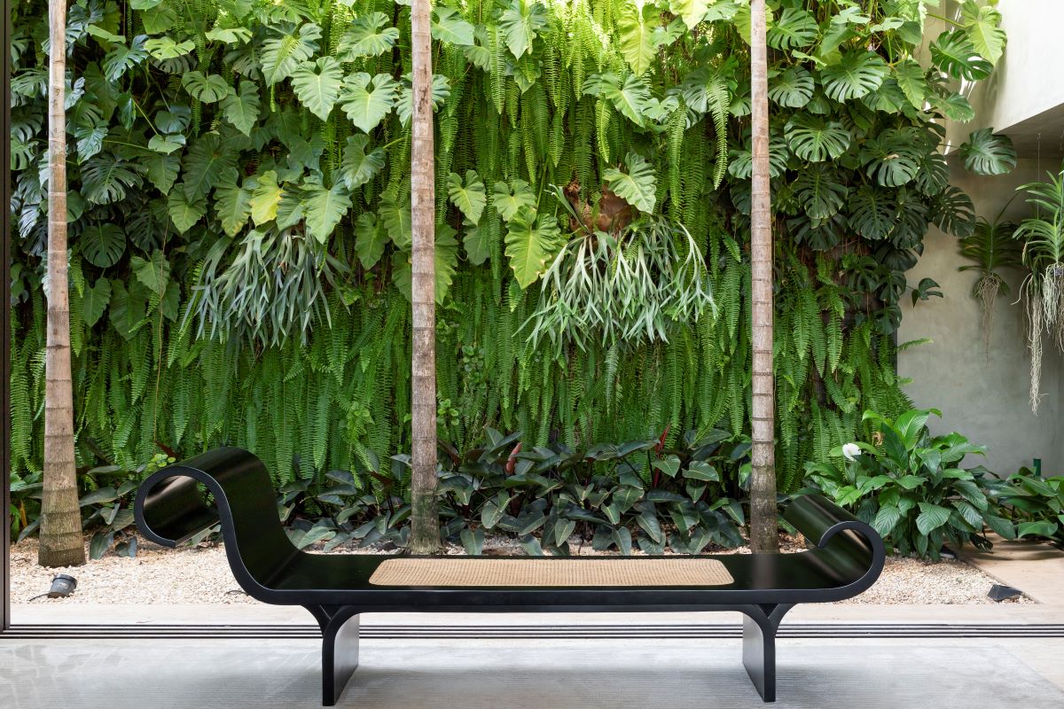 Jasmim: Doçura Noturna que Inspira Sonhos Leves - inspiração 1