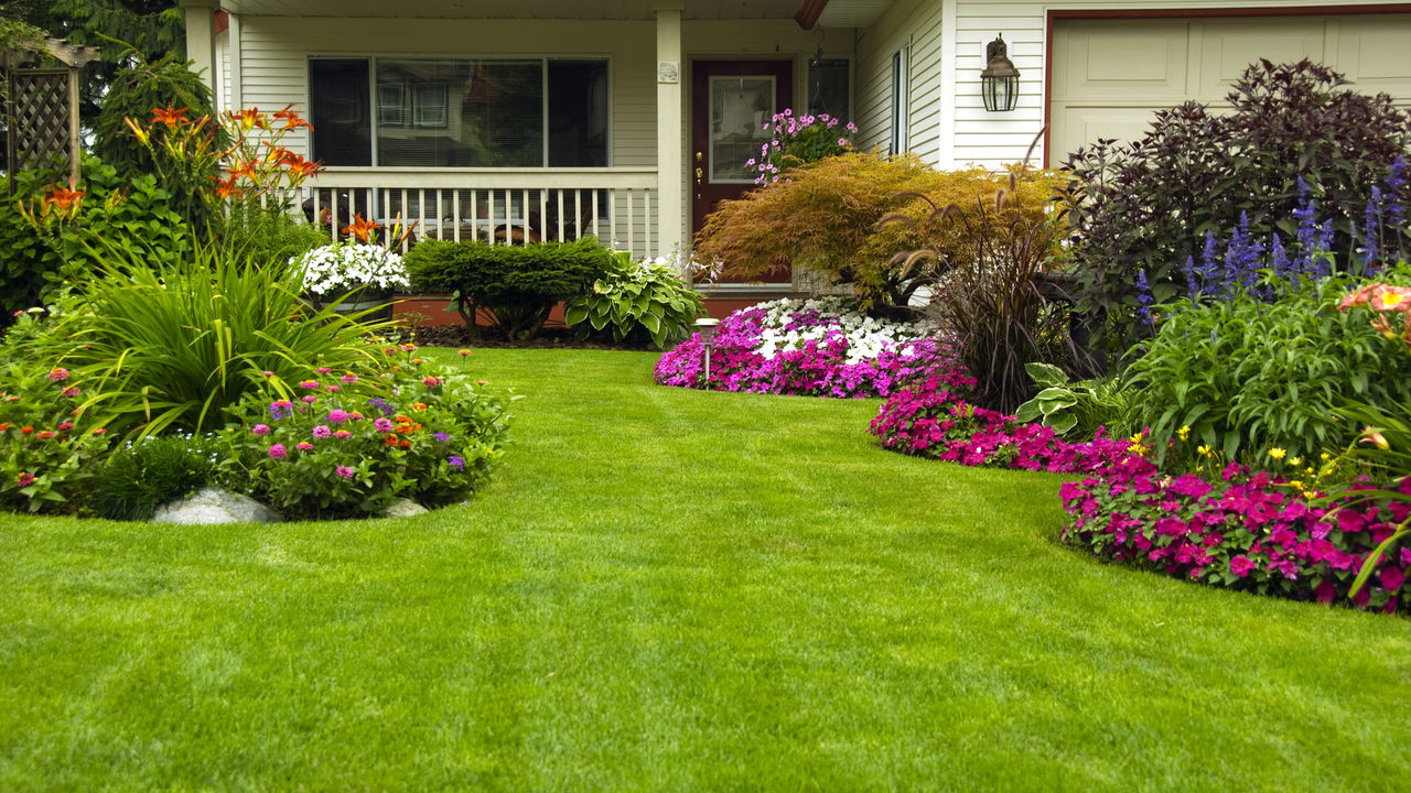 Jasmim: Doçura Noturna que Inspira Sonhos Leves - inspiração 2