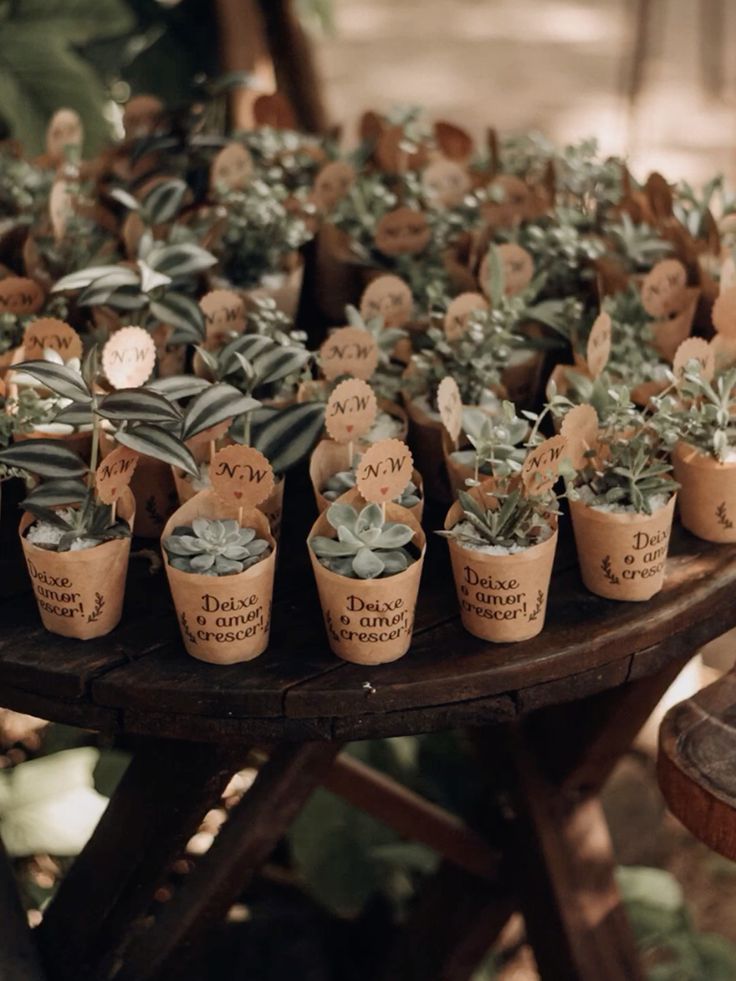 Sustentabilidade em Cada Detalhe: Um Gesto de Carinho e Consciência - inspiração 2