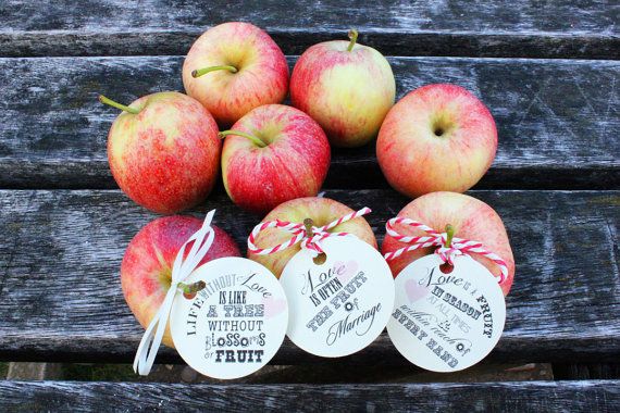 Mix de Frutas Secas para um Mimo Saudável - inspiração 2