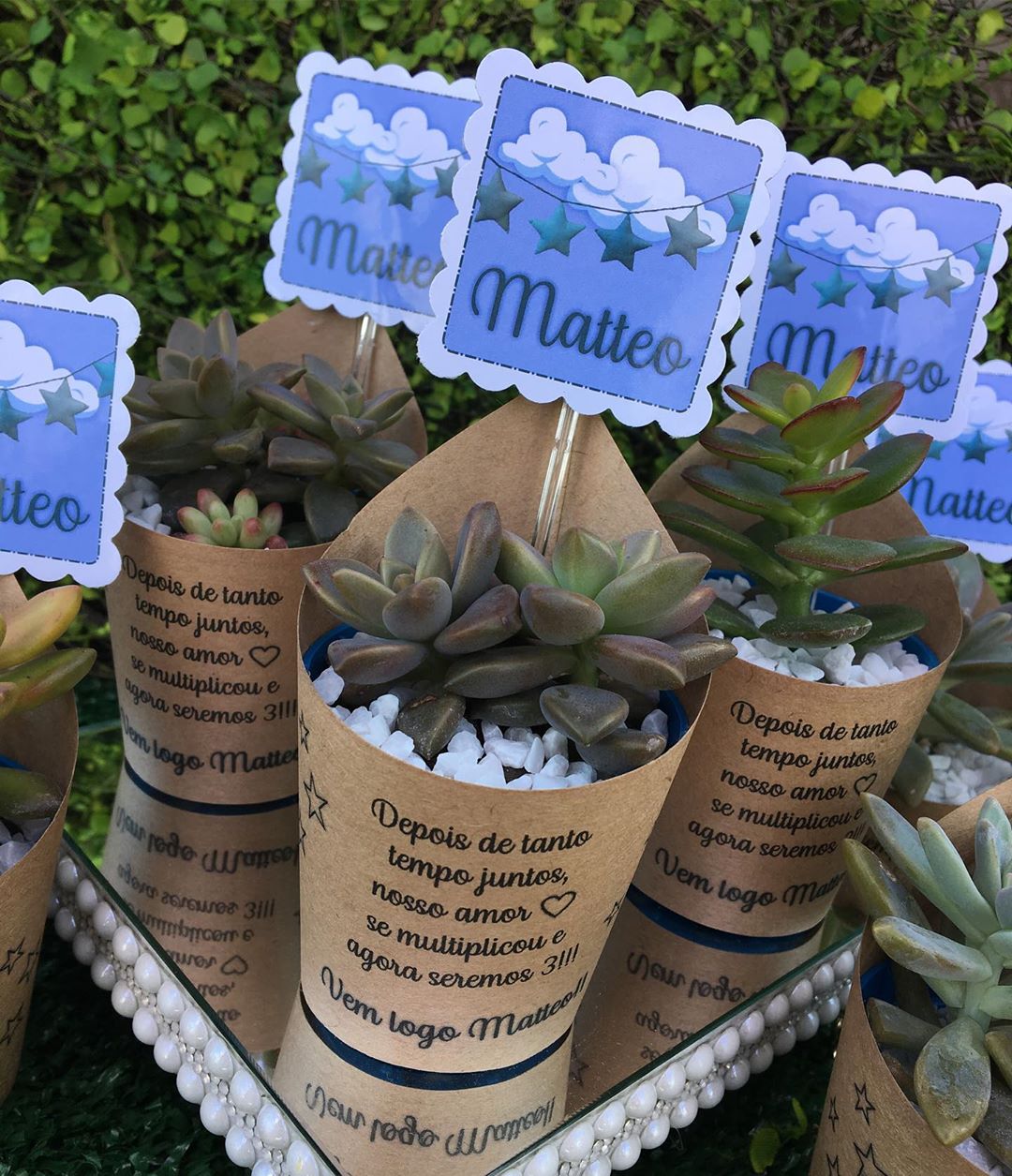 Lembrancinhas Comestíveis Criativas e Deliciosas - inspiração 2