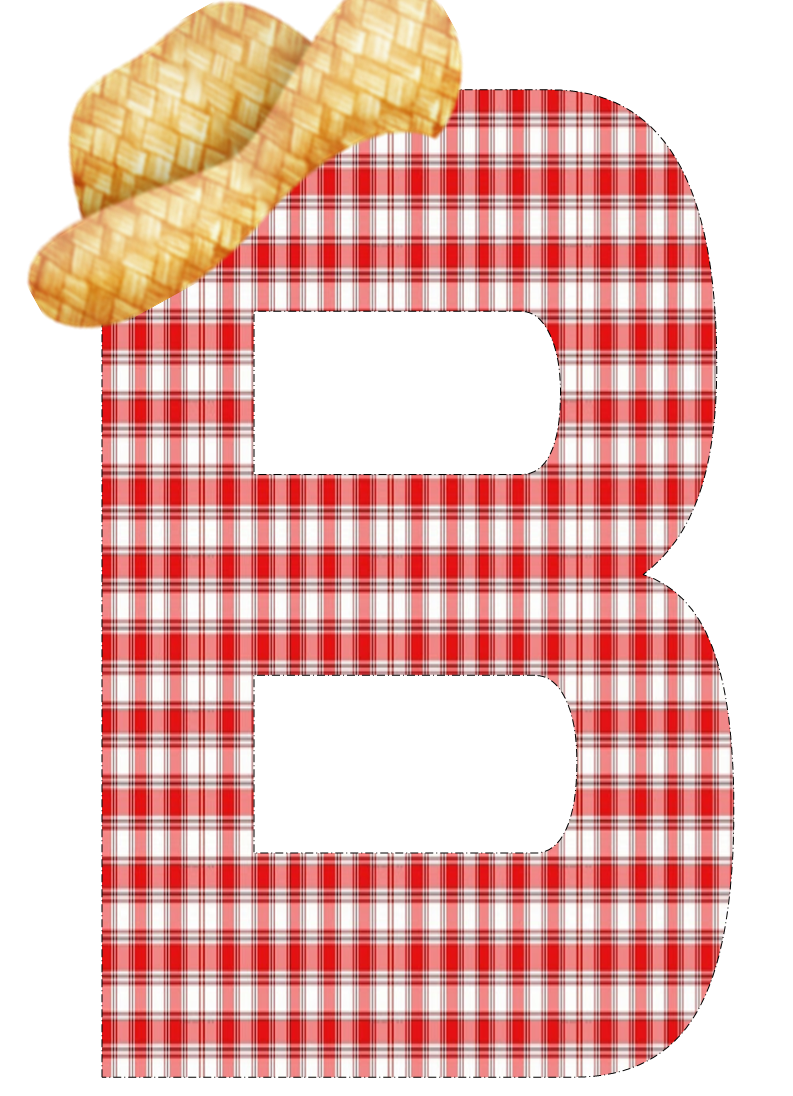 Dicas Para Criar Sua Própria Letra Junina - inspiração 2