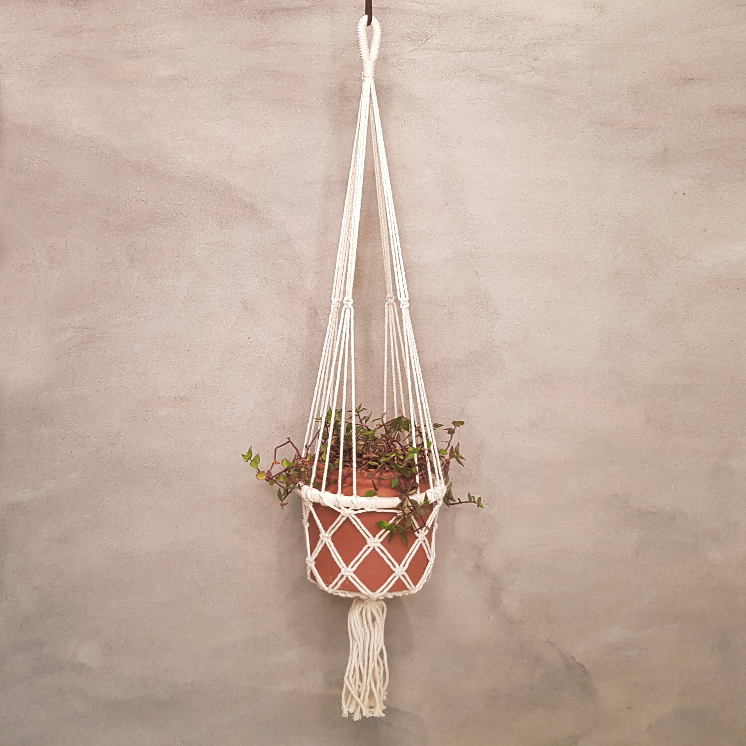 Nós Que Fazem a Diferença: Pontos Essenciais do Macramê para Vasos - inspiração 2