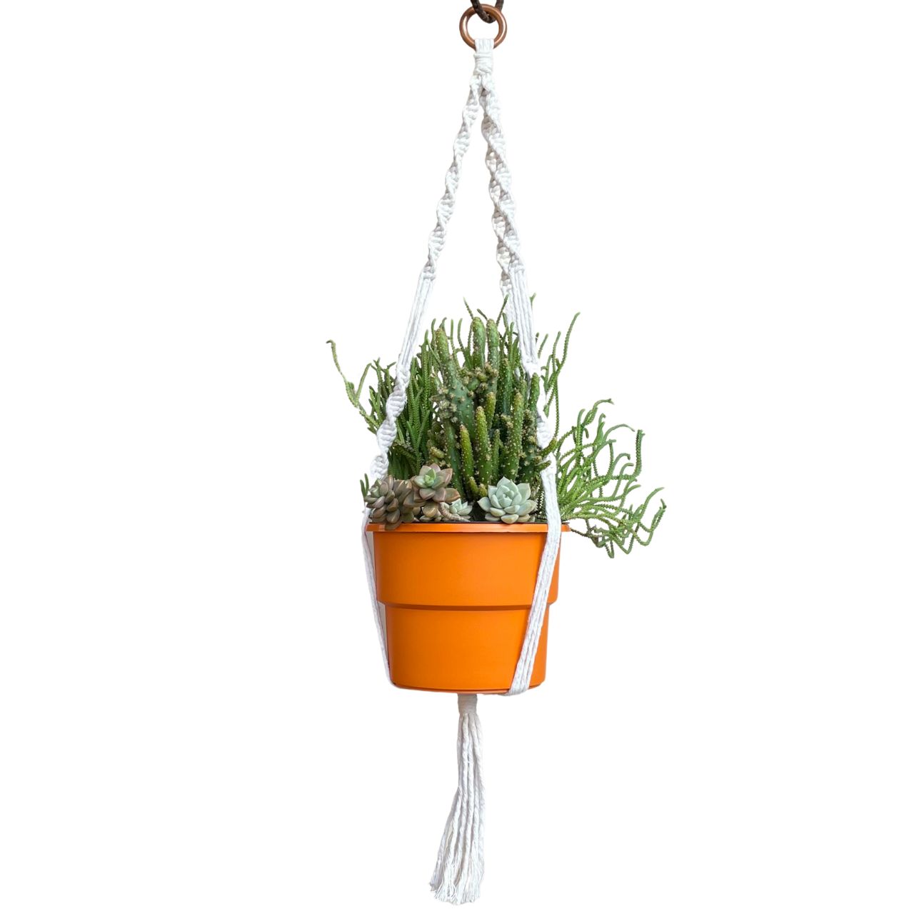 Onde Pendurar? Escolhendo o Local Ideal para Seus Vasos com Macramê - inspiração 2