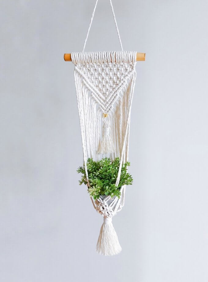 Plantas Que Combinam: A Sinergia Perfeita Entre Folhagens e Macramê - inspiração 1