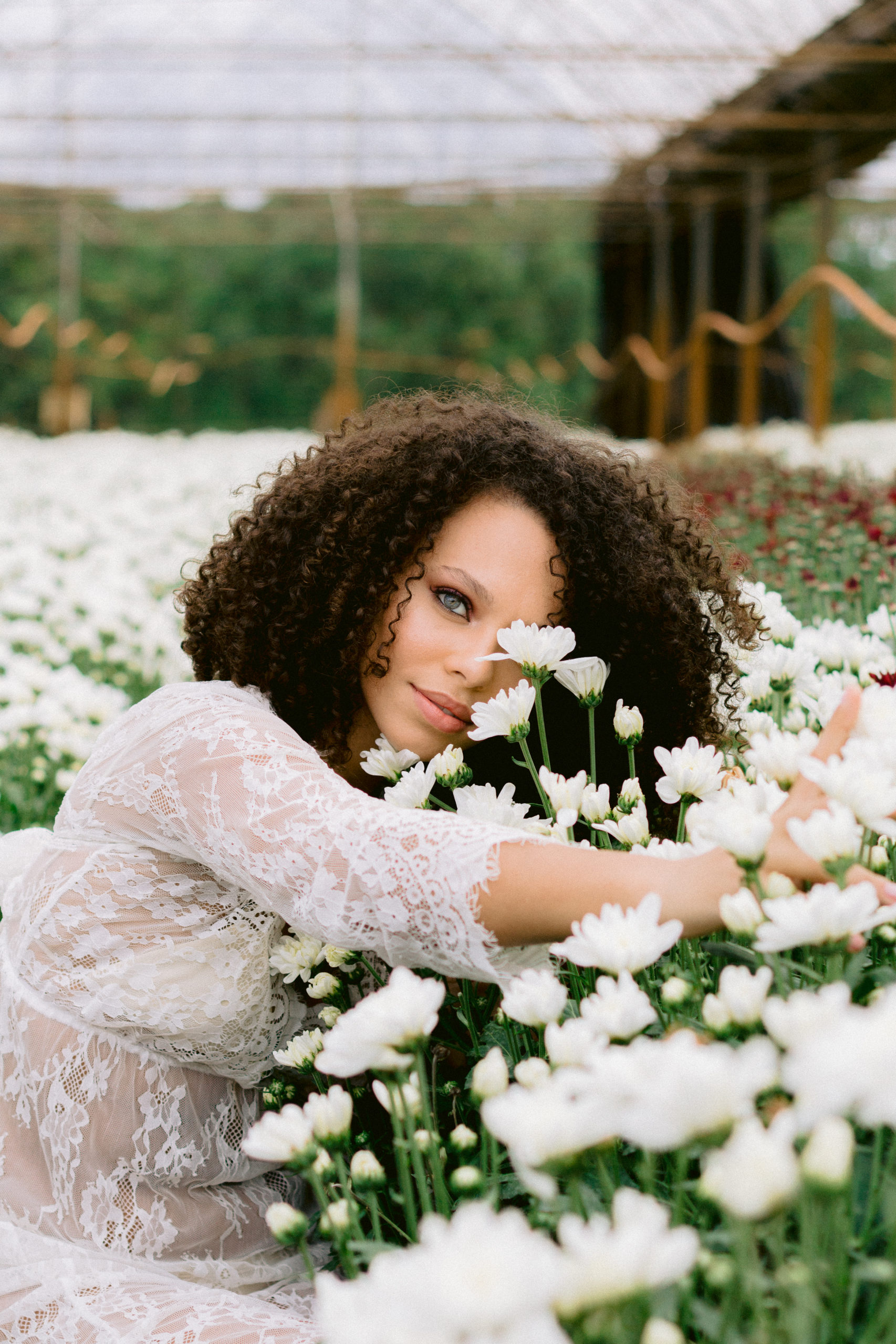 Pó Translúcido: O Selo de Acabamento e Controle de Brilho - inspiração 1