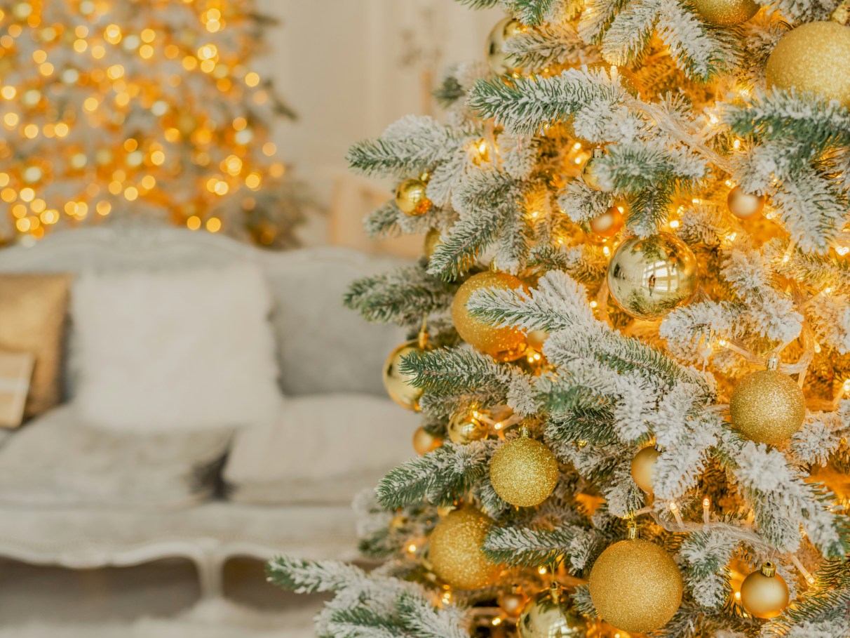 Tons Vibrantes: A Alegria Contagiante das Cores Vivas - inspiração 1