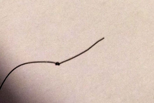 Finalização Que Transforma: Técnicas que Deixam Seu Cacho Definido e Leve - inspiração 1