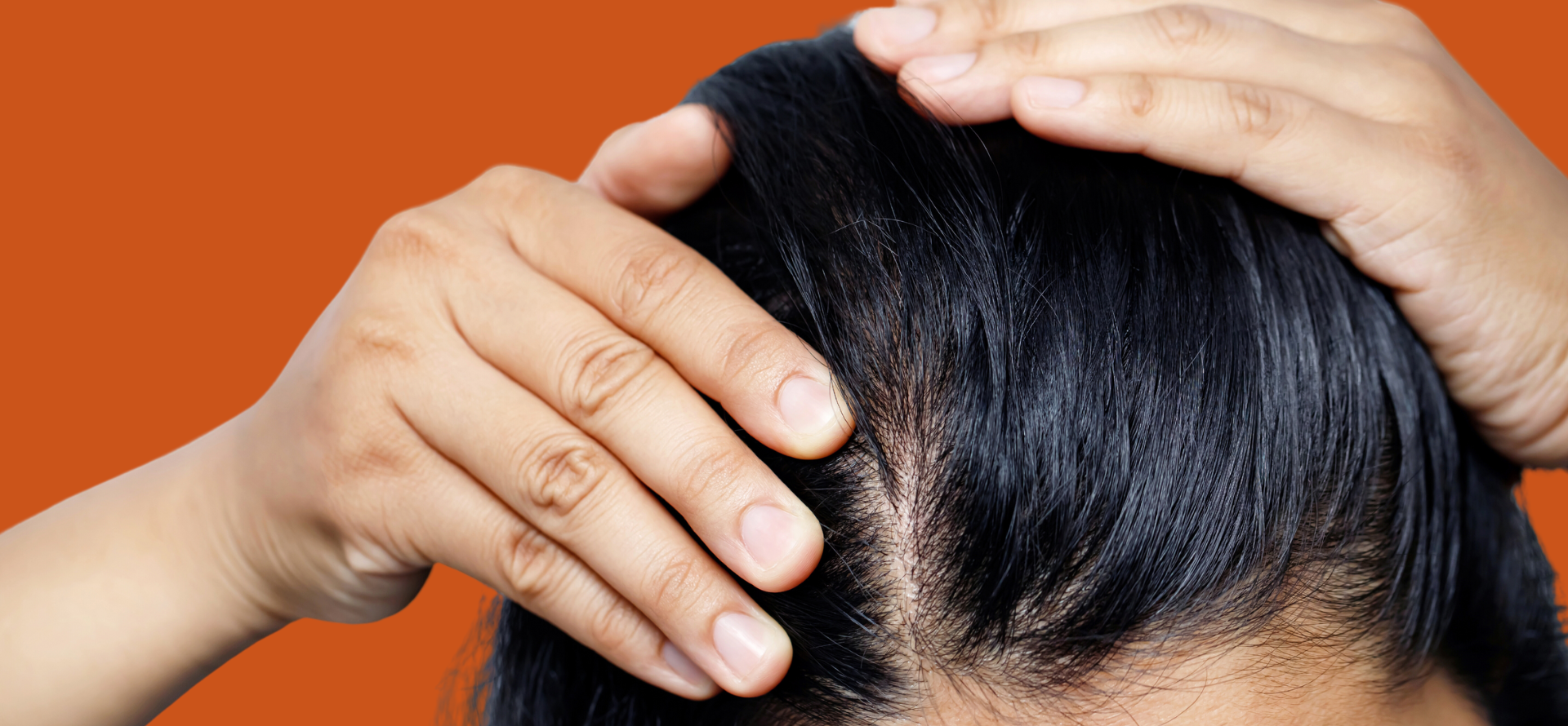 Cuidados Extras para Dias de Calor ou Umidade Intensa - inspiração 1