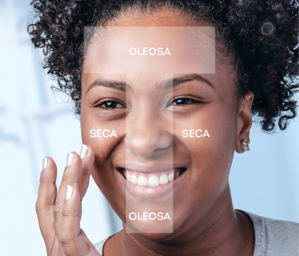 Tônicos Inteligentes: Hidratação Sem Oleosidade - inspiração 2